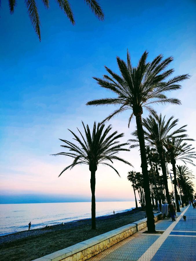 Apartments 4814 З Bedrooms San Pedro Marbella Luaran gambar